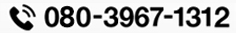 080-3967-1312
